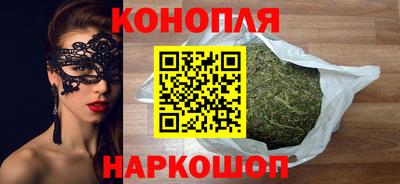 сатива Будённовск