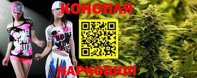 сатива Будённовск