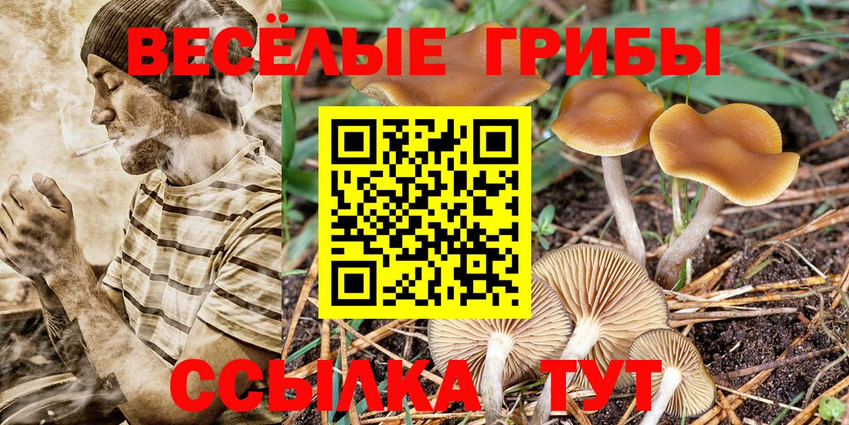 цена наркотик  Вход с VPN  Азов  Галлюциногенные грибы мицелий 