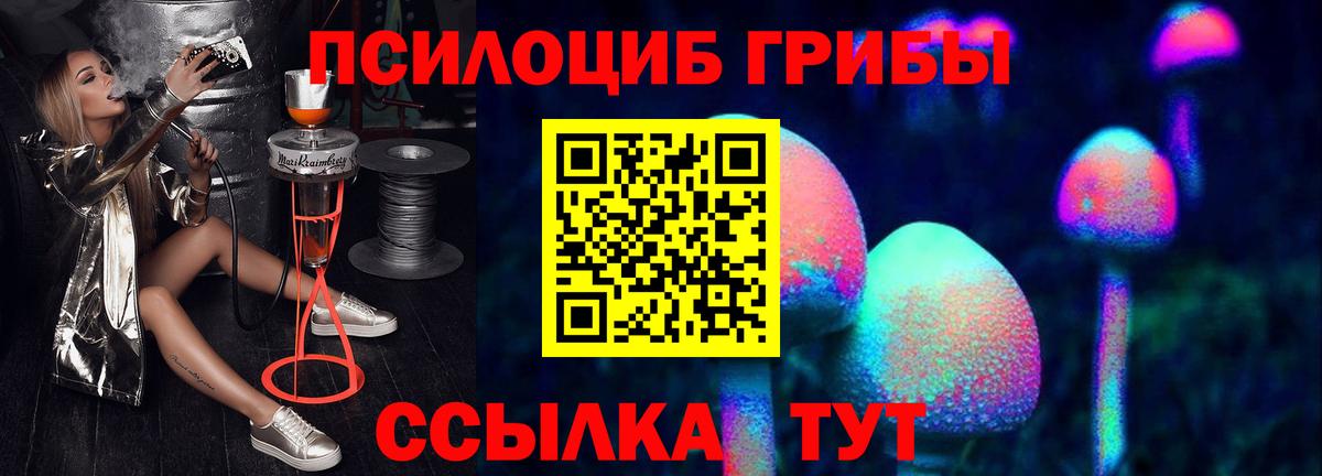 Галлюциногенные грибы Psilocybine cubensis Азов